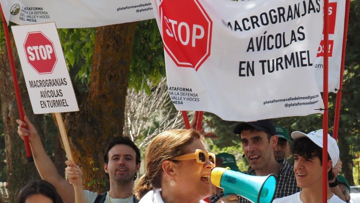 «Aluvión» de alegaciones vecinales contra el proyecto de macrogranjas avícolas en el valle del río Mesa