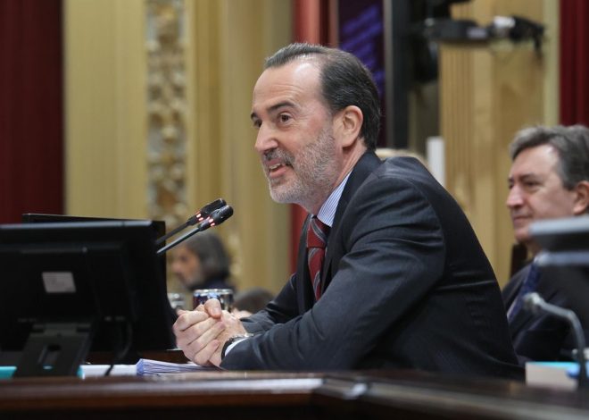 Vox hace presidente del partido en Balears a Gabriel Le Senne, acusado de delito de odio