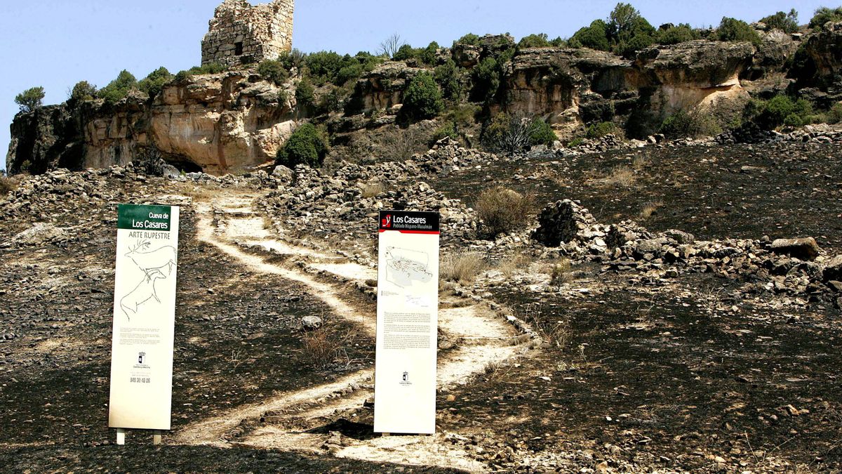 La Riba de Saelices: 20 años del megaincendio que obligó a cambiar la gestión forestal en España