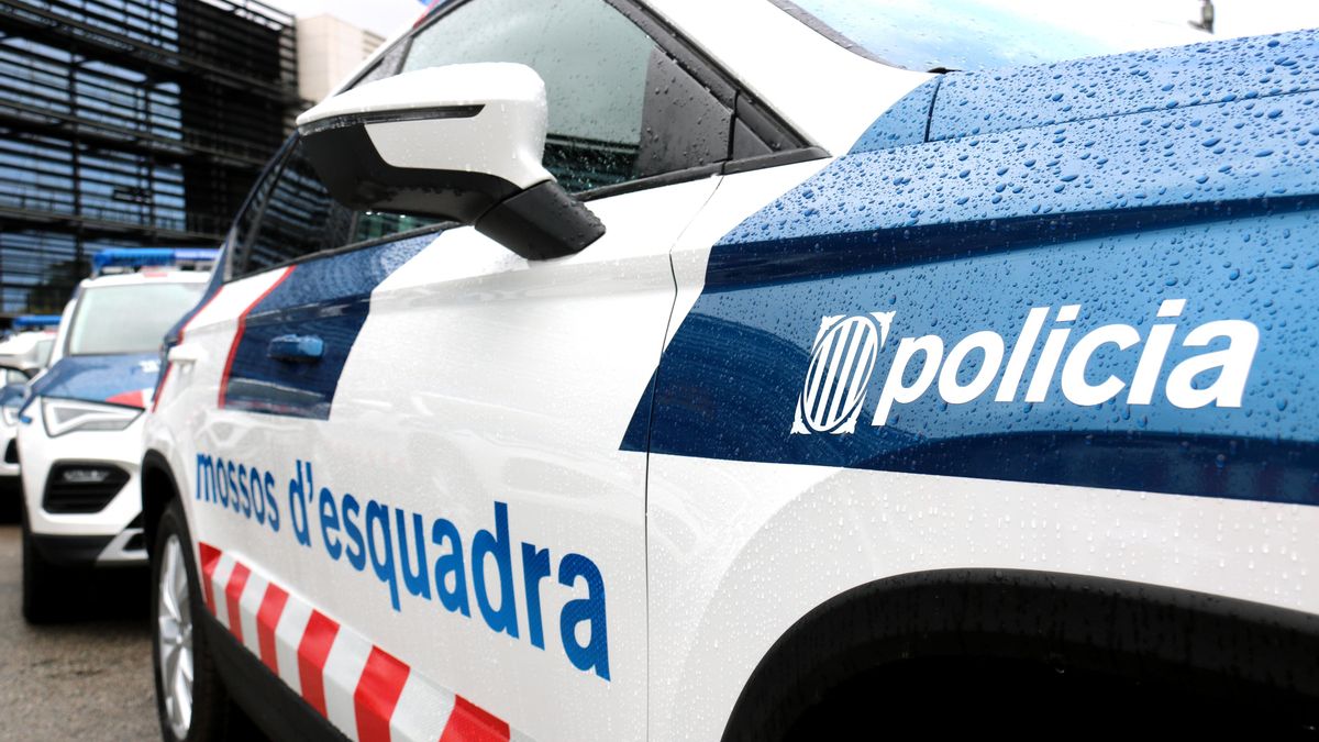 El juez envía a prisión a un hombre acusado de matar a su pareja cuando iba de copiloto en el coche en Balaguer (Lleida)