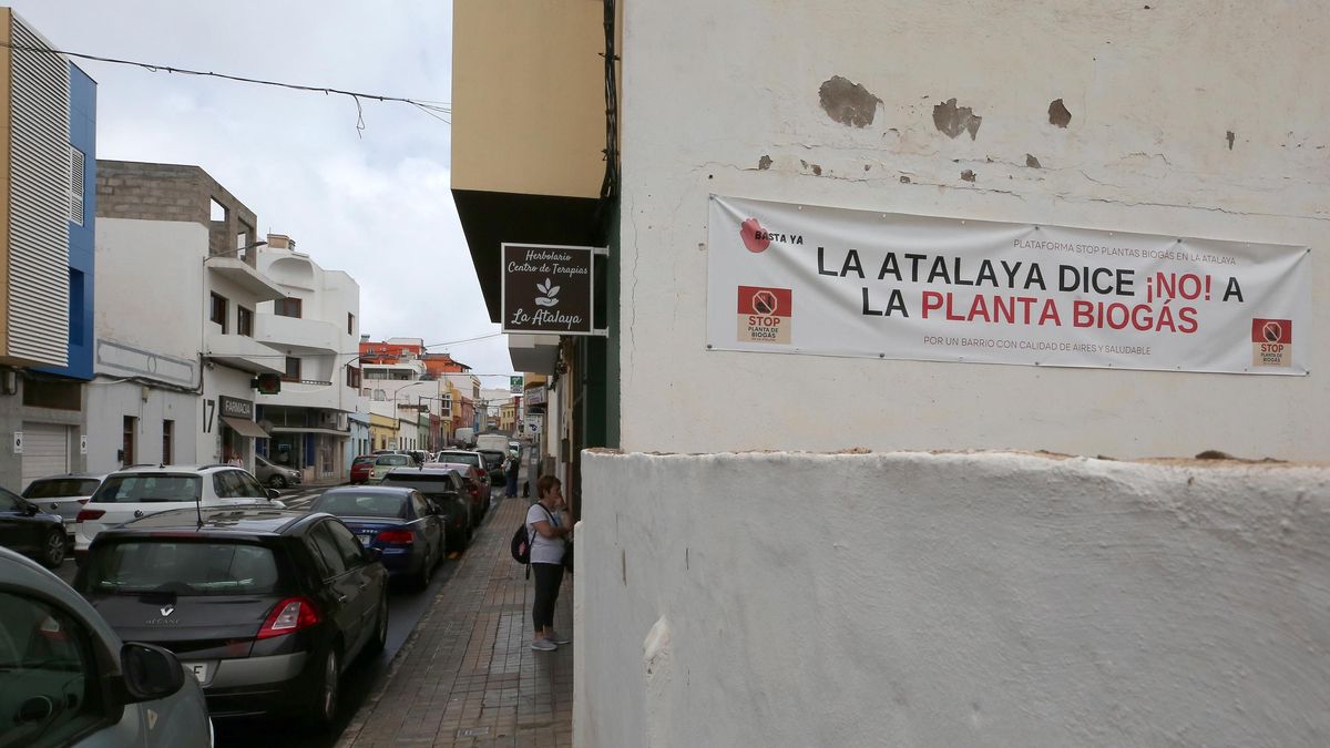 Oposición vecinal a una planta de biogás en el norte de Gran Canaria: “No queremos ser el estercolero de la isla”