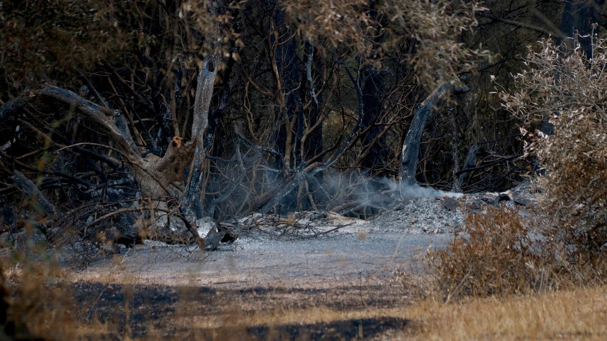 La lluvia por la noche ayuda a combatir el fuego en Tarragona y los Bomberos esperan tenerlo controlado este jueves