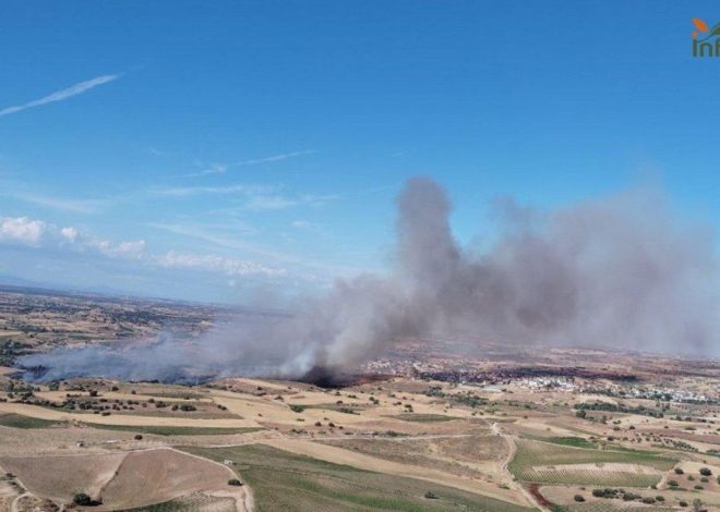 Evacúan a parte de la población de la localidad toledana de La Torre de Esteban Hambrán por un incendio forestal
