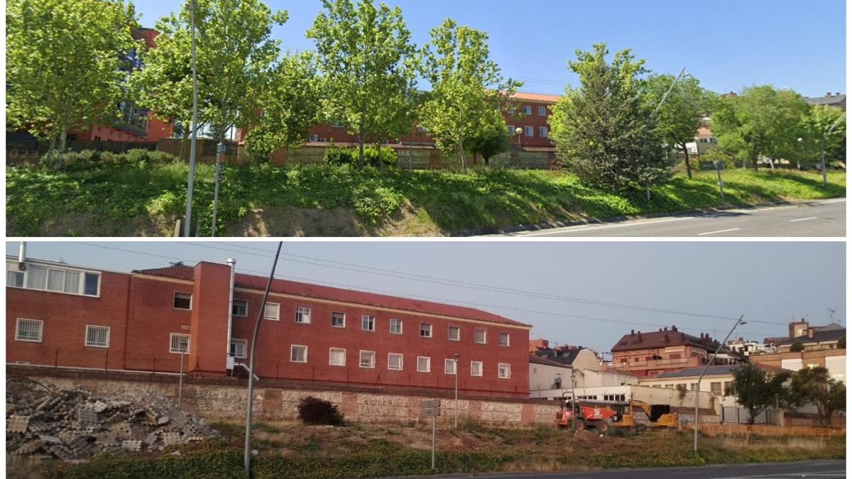 Talas en el recinto protegido de la Casa de Campo autorizadas por el Ayuntamiento de Madrid
