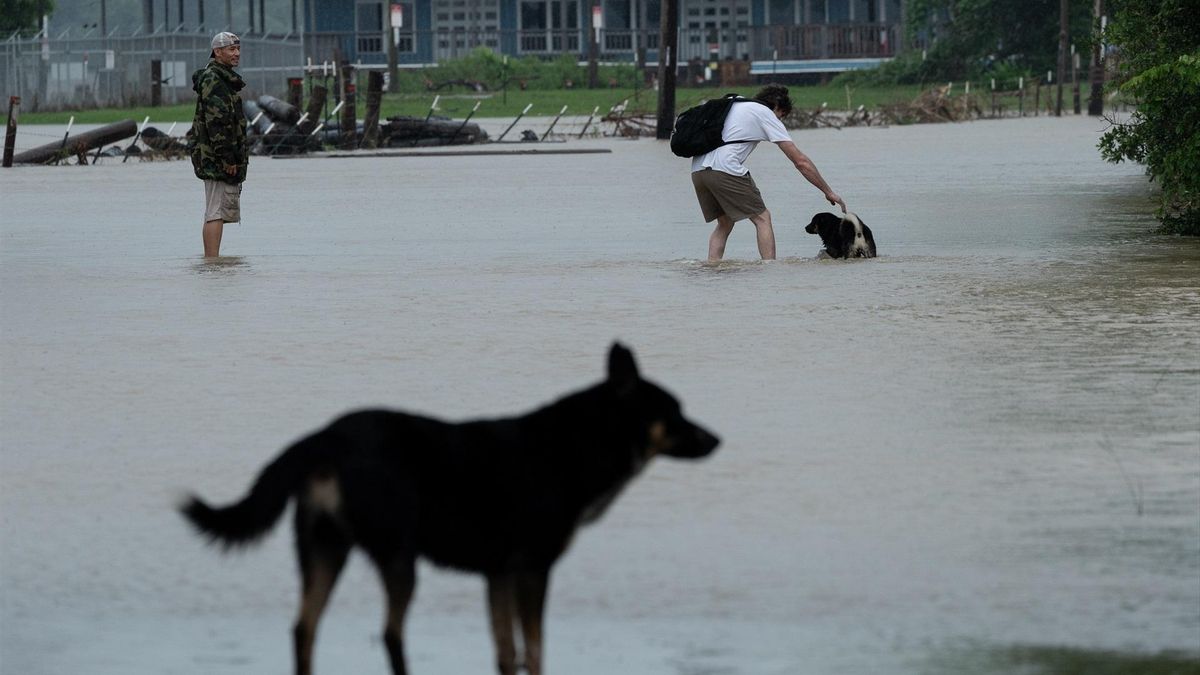 Al menos 13 muertos por las inundaciones tras fuertes lluvias en Texas