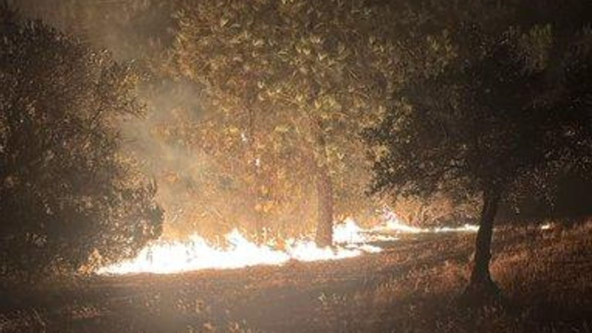Un incendio en la localidad pacense de Valdecaballeros quema ya 2.000 hectáreas y obliga a desalojar un camping infantil y un poblado