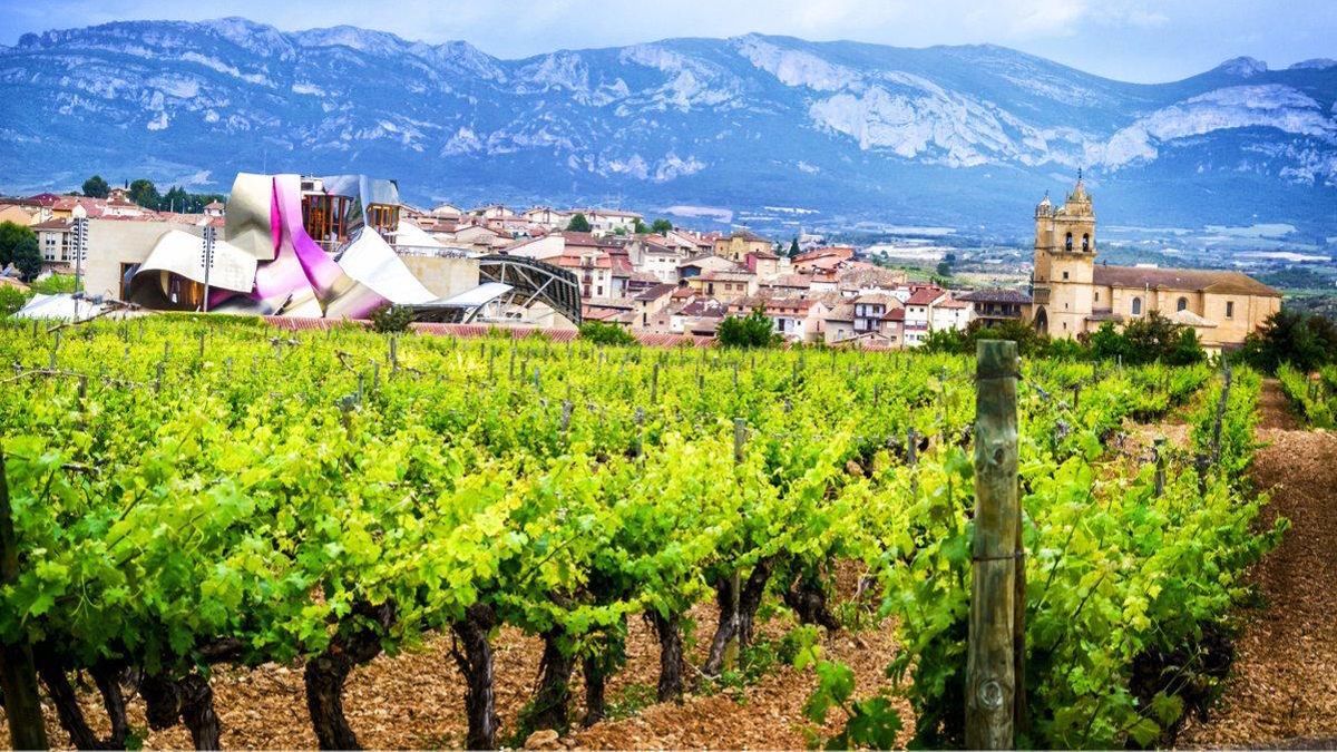 El Gobierno vasco insiste en la «diferenciación» de los vinos de Álava dentro de la denominación de origen Rioja