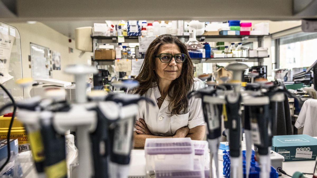 Susana Puig: «Investigadores que miraban a Estados Unidos ahora ven más oportunidades aquí»