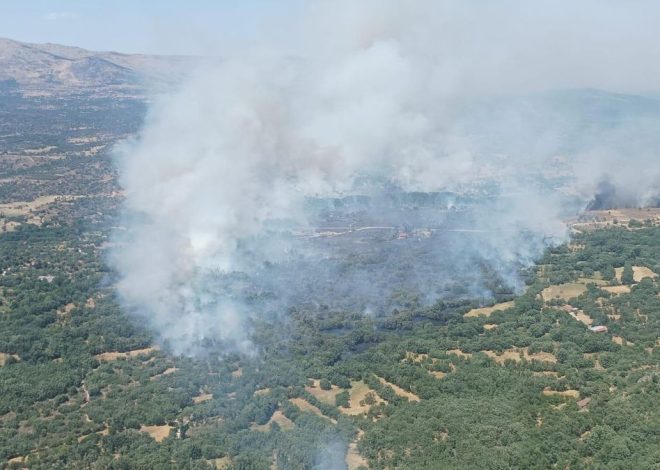 El incendio declarado en Navaluenga, Ávila, quema instalaciones agrícolas y amenaza al municipio