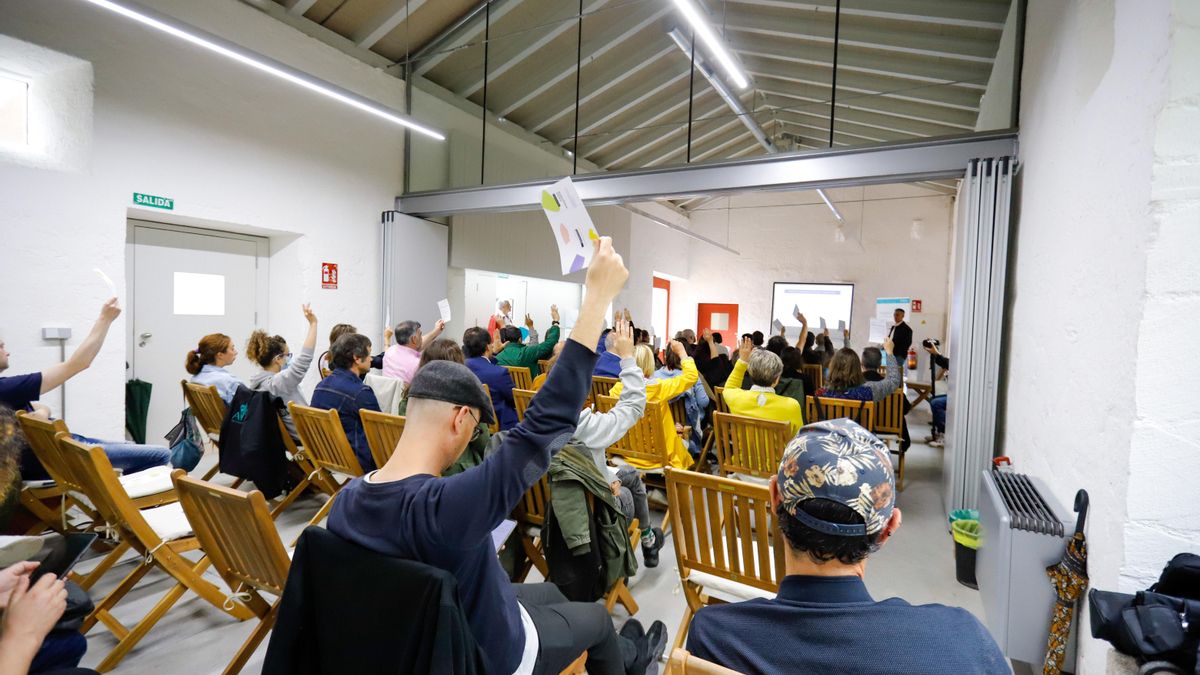 Así construyen las cooperativas resiliencia, igualdad y sostenibilidad en el año que reconoce su modelo empresarial