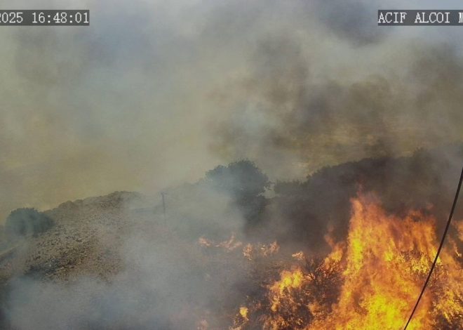 La UME y nueve medios aéreos trabajan en un incendio forestal en Ibi