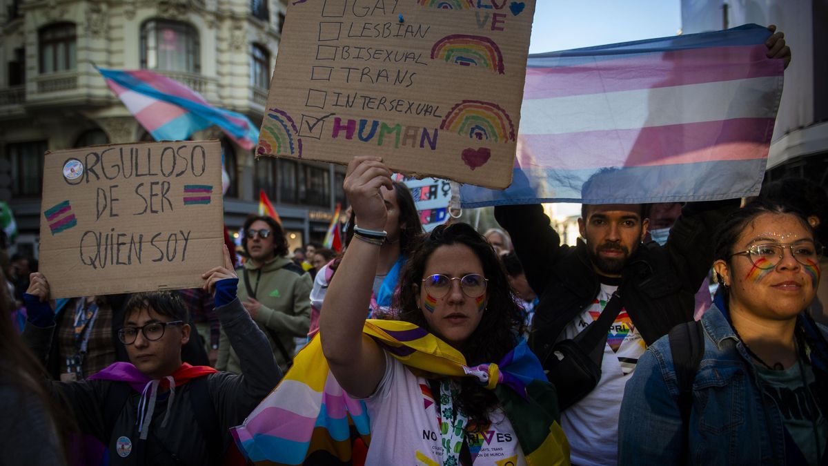Sanidad y las comunidades aprueban crear el primer centro de referencia en la salud de las personas trans