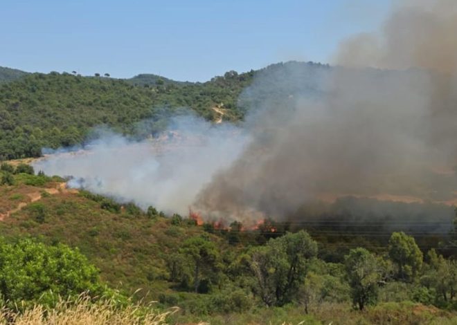 Estabilizado el incendio que ha obligado a confinar dos barrios de Girona