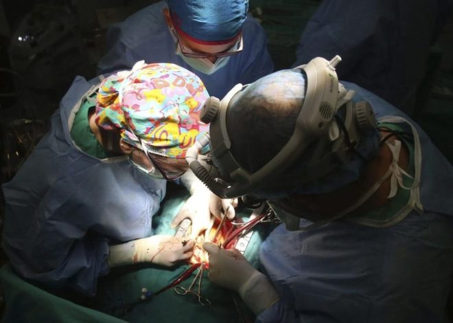 Las personas con VIH ya pueden donar órganos entre sí: «Avanzamos para salvar vidas y romper estigmas»