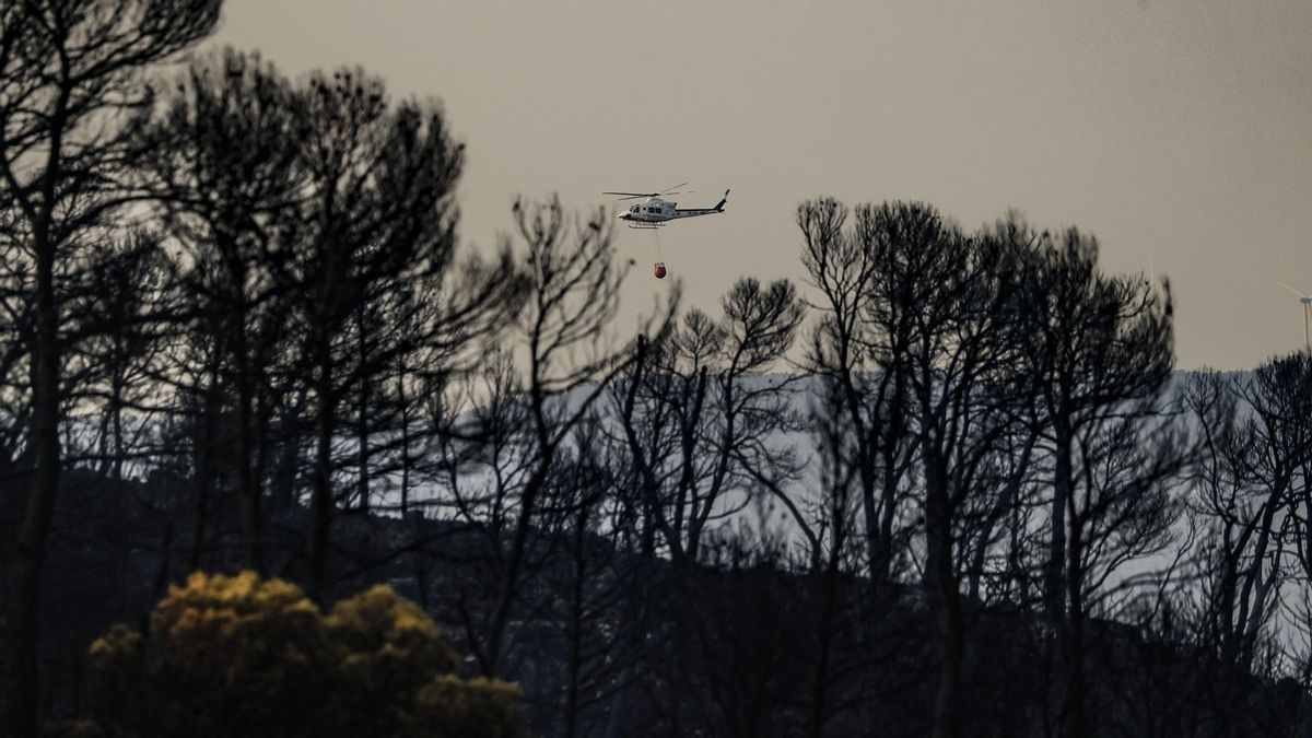Perimetrado el incendio forestal de Teresa de Cofrentes, que ha quemado más de 500 hectáreas