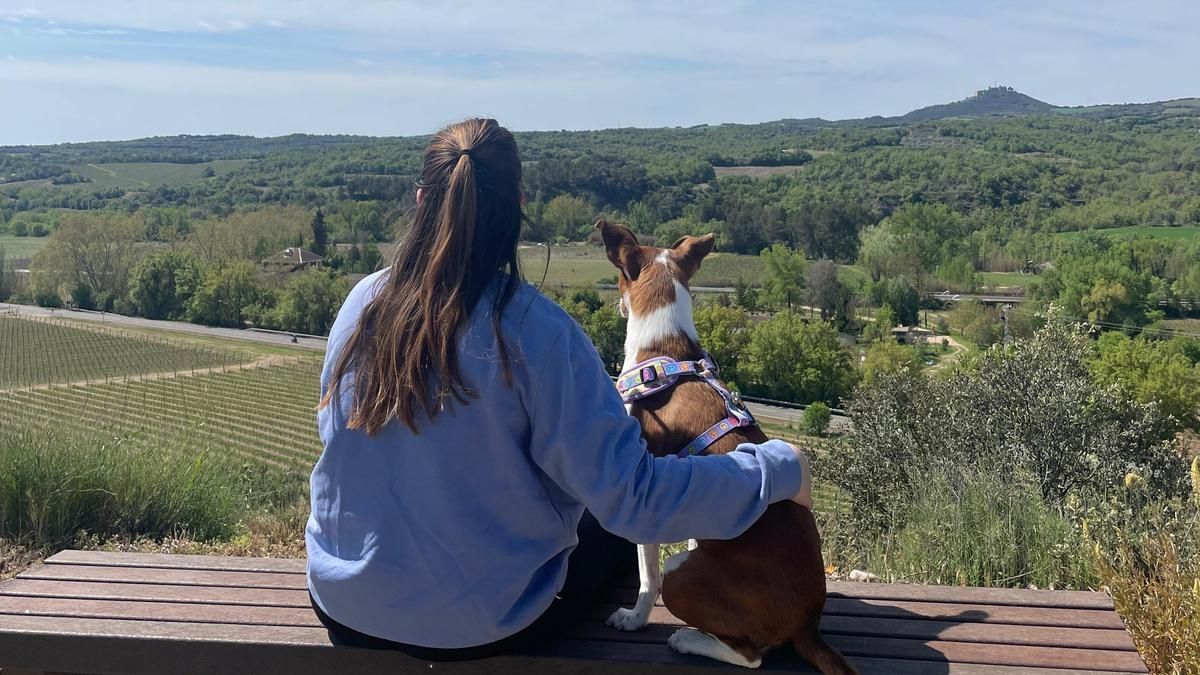 Turismo con mascotas, una tendencia en auge: “Supone vivir los destinos de otra forma”