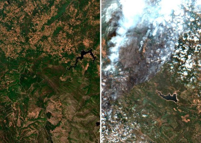El antes y después de los grandes incendios, con imágenes de satélite: así han ardido miles de hectáreas este verano