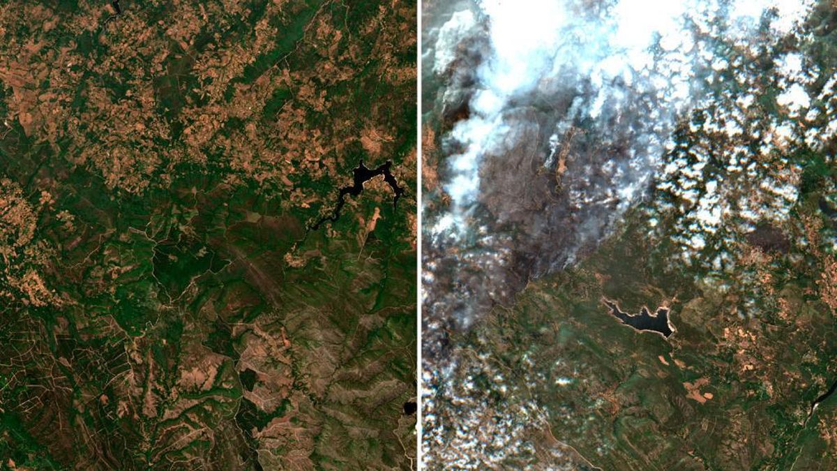 El antes y después de los grandes incendios, con imágenes de satélite: así han ardido miles de hectáreas este verano