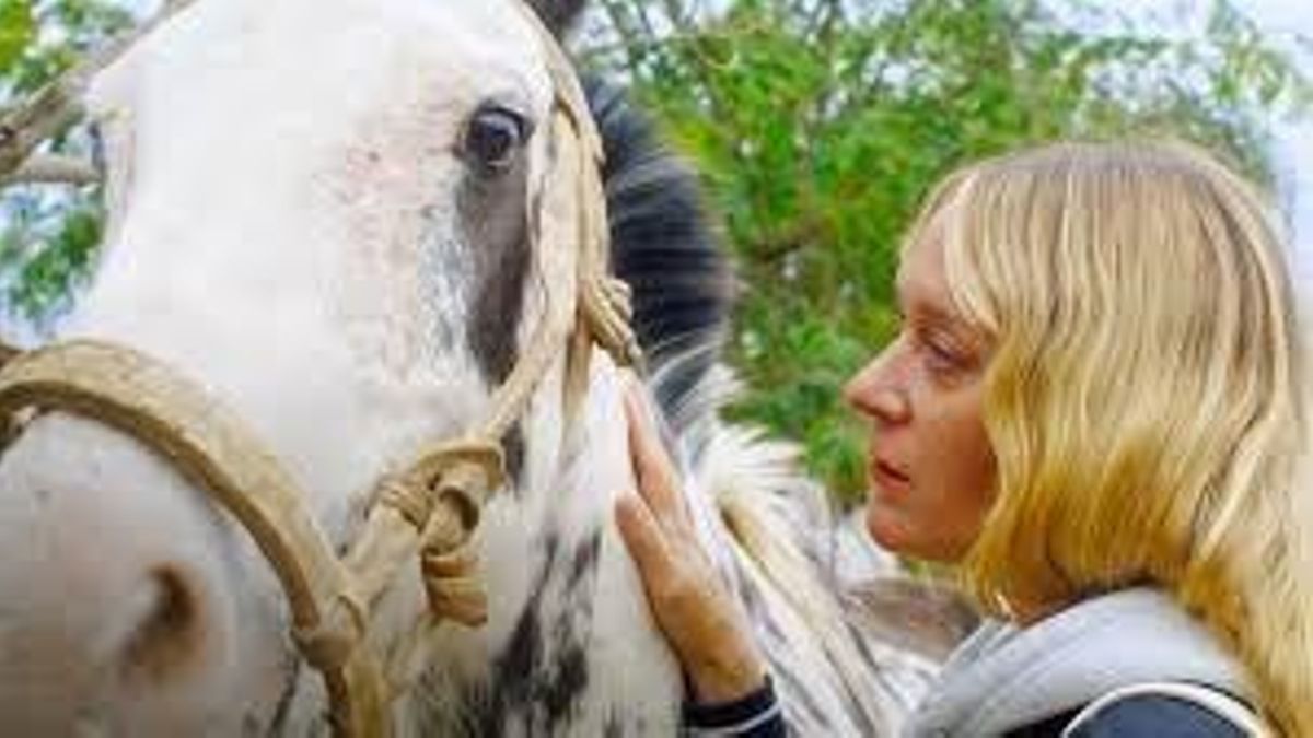 La cultura del cinismo
