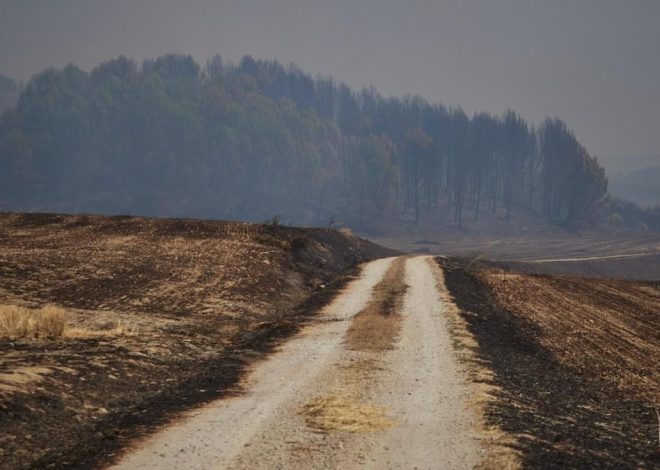 Controlados en Navarra el incendio de Artajona y el de la zona de Enériz, Muruzábal, Añorbe y Obanos