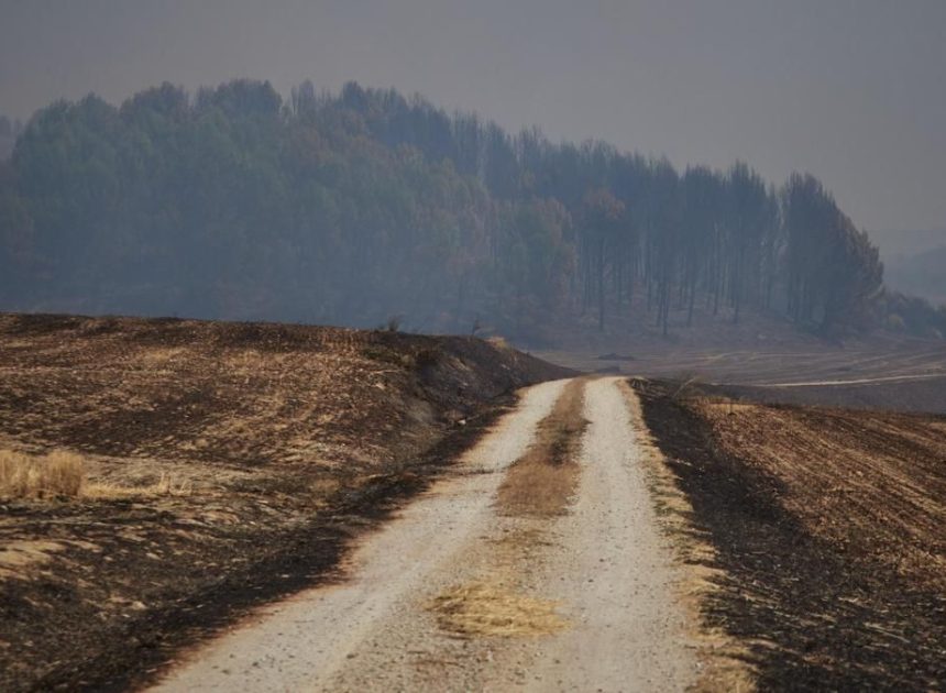 Controlados en Navarra el incendio de Artajona y el de la zona de Enériz, Muruzábal, Añorbe y Obanos