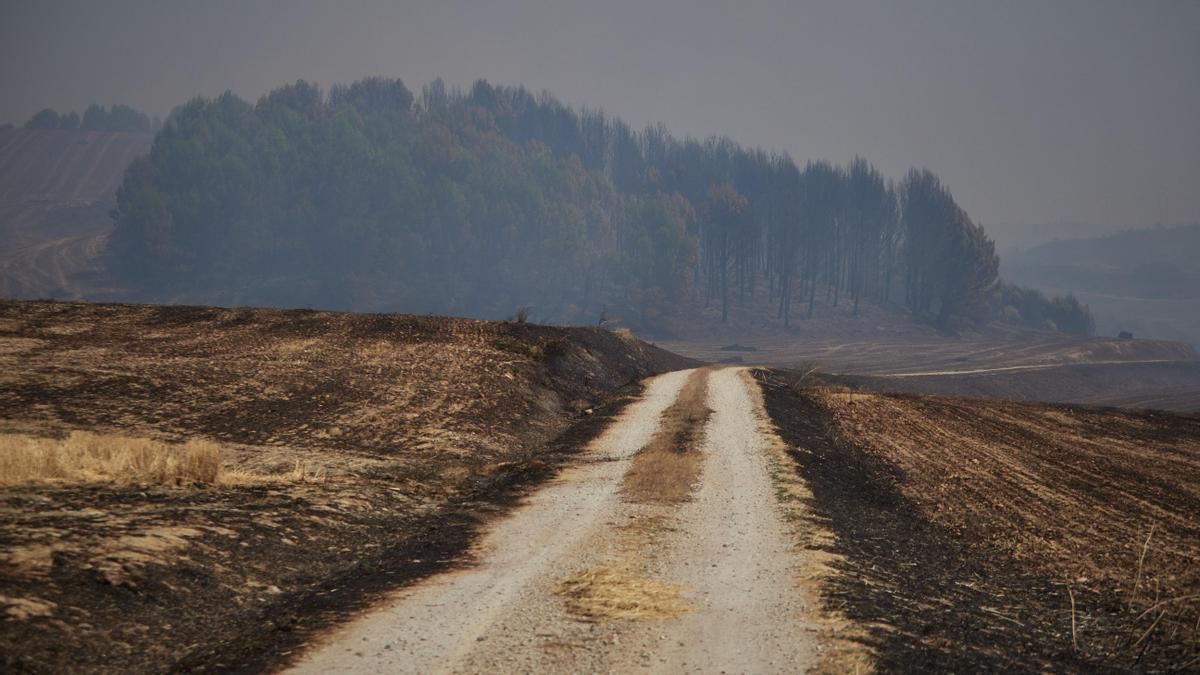 Controlados en Navarra el incendio de Artajona y el de la zona de Enériz, Muruzábal, Añorbe y Obanos