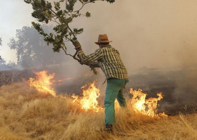 Complicada situación de los incendios en Castilla y León: once fuegos de gravedad en León, Zamora, Salamanca y Ávila
