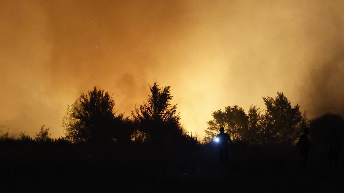 Greenpeace denuncia que el plan contra incendios de la Comunidad de Madrid excluía a Tres Cantos como zona de riesgo