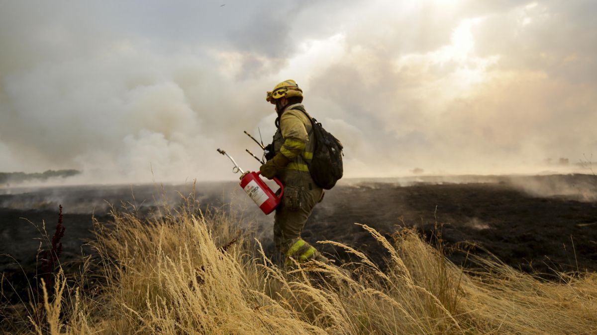Privatización, sueldos bajos y contratos temporales: los incendios destapan la precariedad de los bomberos forestales