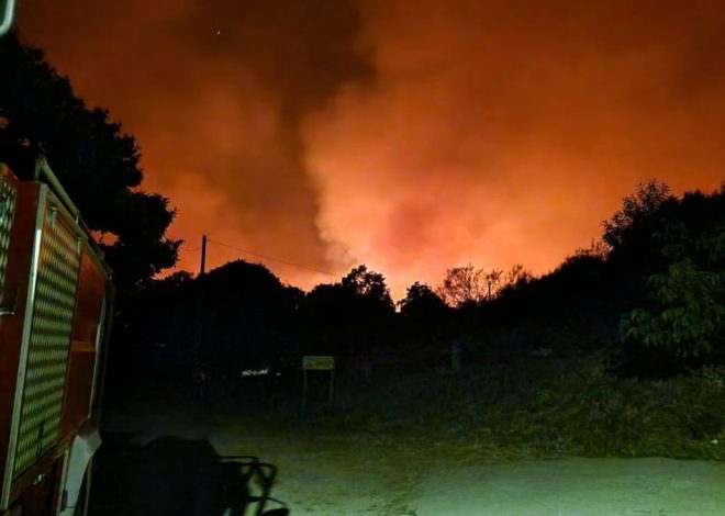 Castilla y León mantiene activos 18 fuegos, 10 graves, con reproducciones por el viento