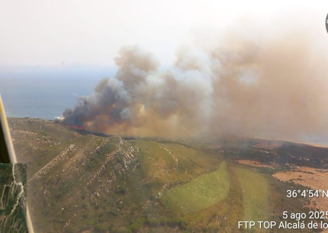 Evacuan un camping en Tarifa por un incendio originado al arder una caravana en un paraje colindante