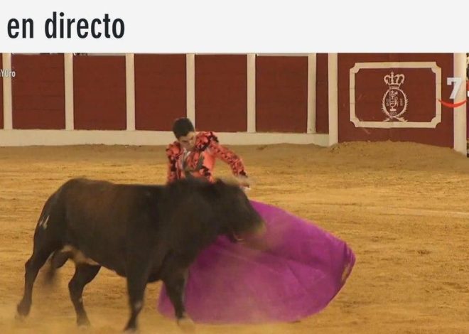 La realidad paralela de Castilla y León Televisión mientras Mañueco comparece en las Cortes: toros, campo y concursos