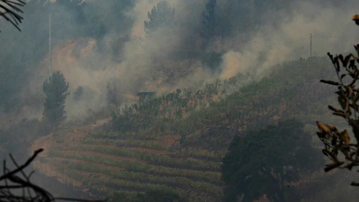 En las aldeas que el fuego calcinó en Vilamartín: «Se sabía que iba a pasar, pero no vino nadie, no hubo previsión»