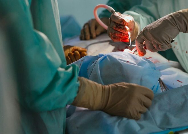 Realizan por primera vez un trasplante de pulmón de cerdo a un humano