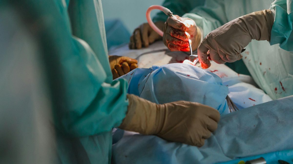 Realizan por primera vez un trasplante de pulmón de cerdo a un humano