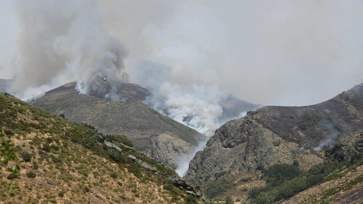 Los incendios mantienen en jaque a Castilla y León este lunes: nueve fuegos de nivel 2 en León y Zamora