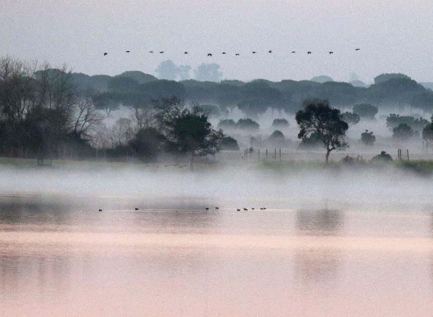 El Gobierno publica los requisitos de las ayudas para que los regantes de Doñana sustituyan cultivos por el uso forestal