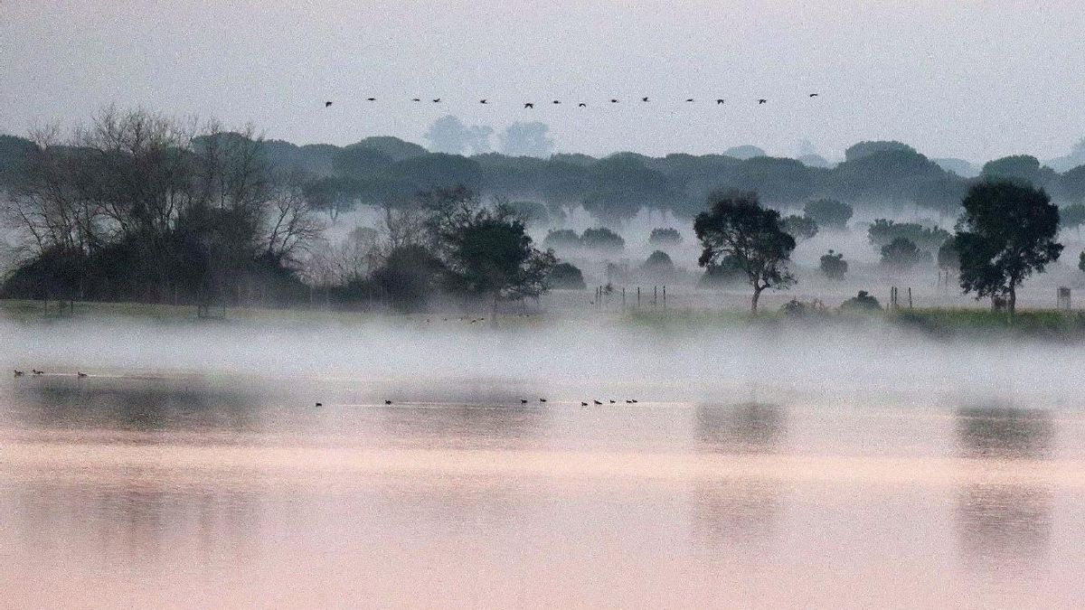 El Gobierno publica los requisitos de las ayudas para que los regantes de Doñana sustituyan cultivos por el uso forestal