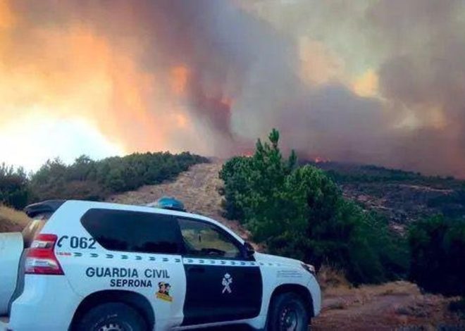 La Guardia Civil detiene a un hombre por el incendio de Zamora que ha quemado 4.000 hectáreas