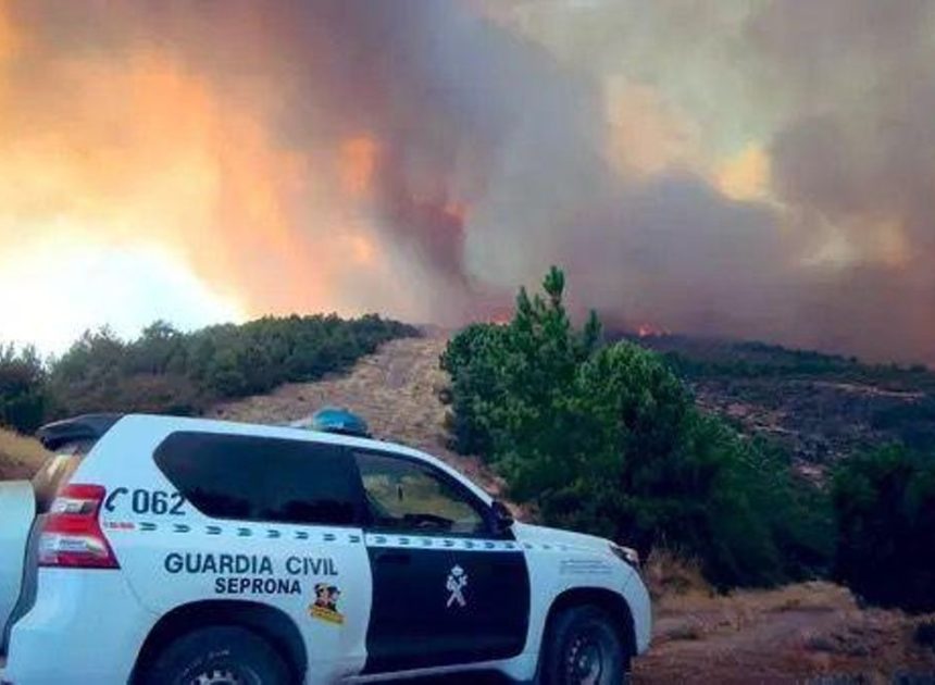 La Guardia Civil detiene a un hombre por el incendio de Zamora que ha quemado 4.000 hectáreas