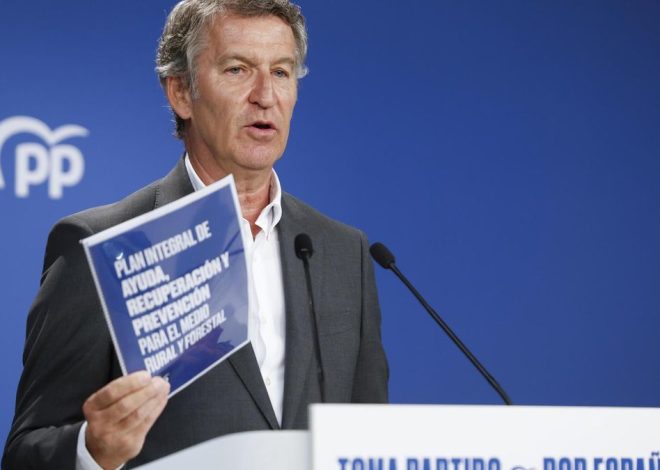 Feijóo plantea crear un «registro de pirómanos» y el uso de «pulseras telemáticas» a los condenados