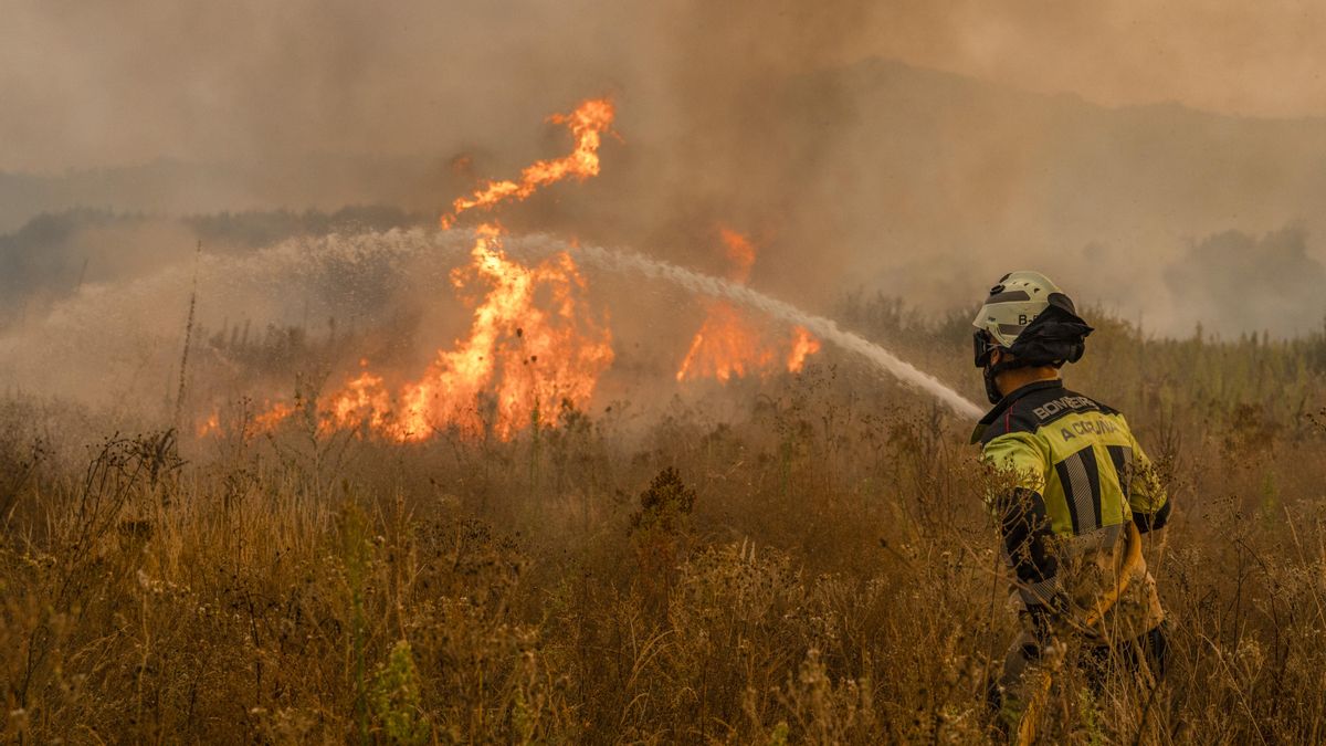 Los incendios de Asturias comienzan a controlarse y se reducen a nueve focos