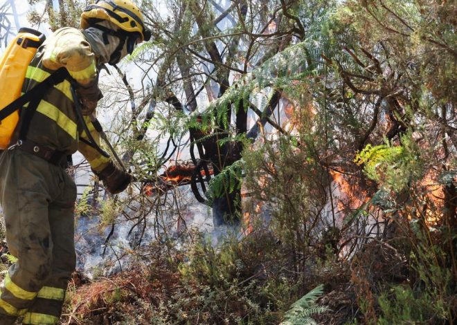 Castilla y León sigue luchando contra el fuego este viernes: nueve incendios de máximo nivel en León, Salamanca y Zamora