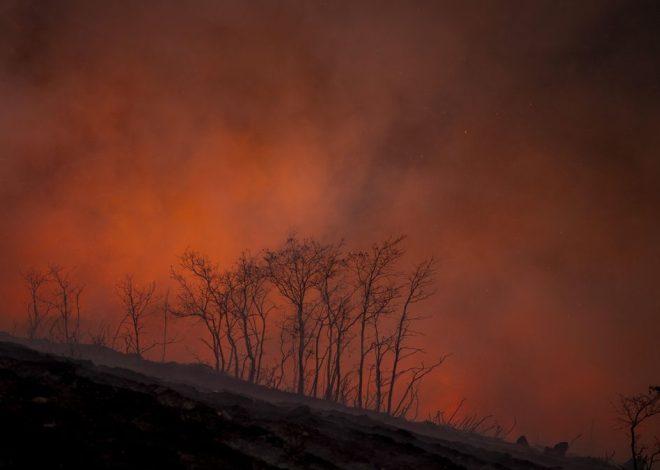 Los incendios en Ourense interrumpen la circulación de trenes de alta velocidad entre Madrid y Galicia