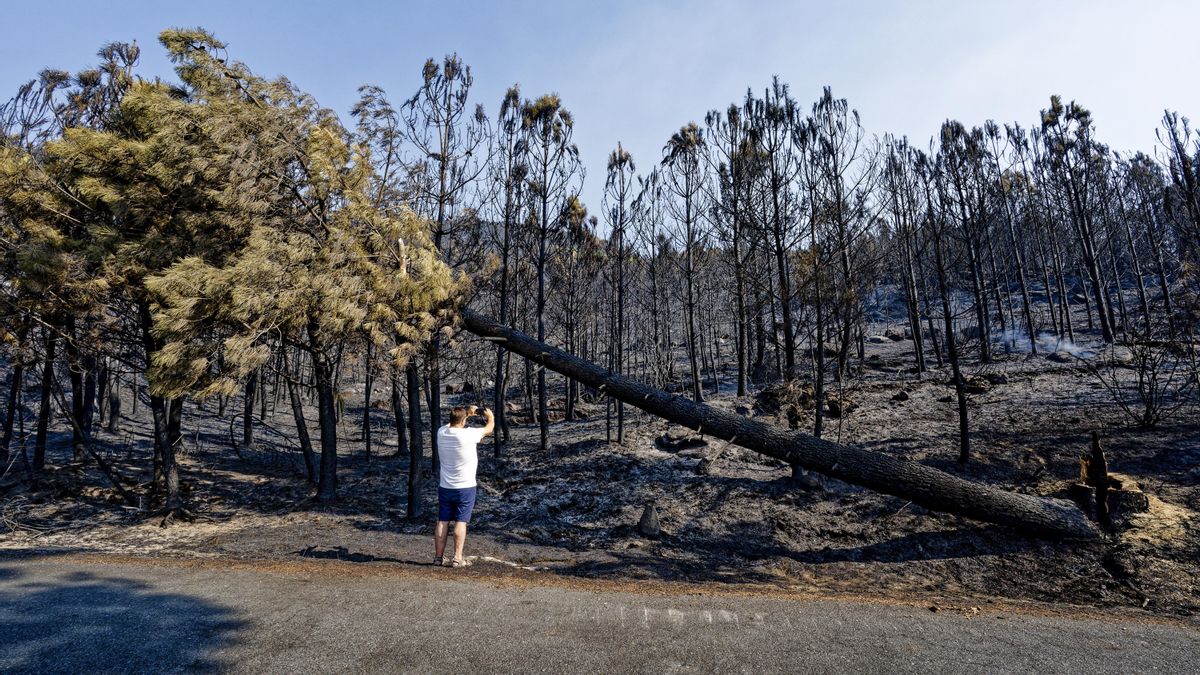 La Guardia Civil detiene a un trabajador de extinción de incendios por provocar el fuego de Mombeltrán, al sur de Ávila