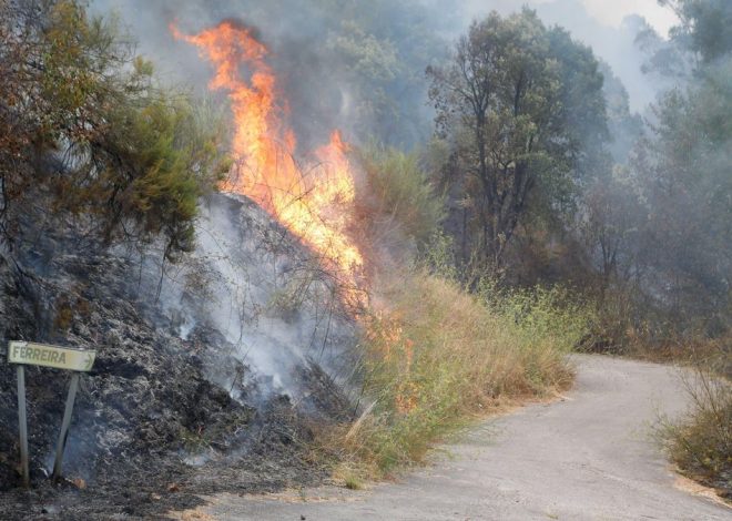 La Aemet confía en que el fin de la ola de calor ayude a controlar los incendios, pero pide no bajar la guardia