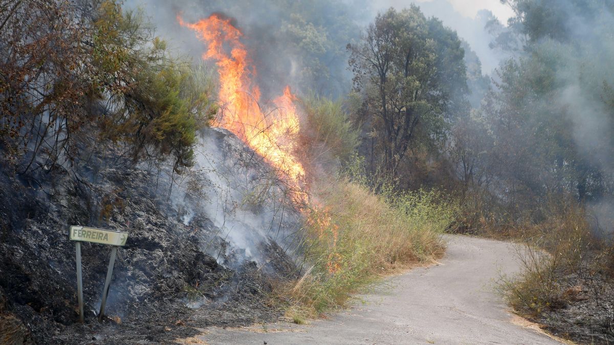 La Aemet confía en que el fin de la ola de calor ayude a controlar los incendios, pero pide no bajar la guardia