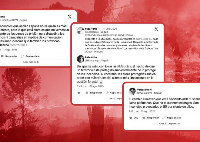Del terrorismo pirómano a las «multas de la Agenda 2030» por limpiar, los bulos sobre incendios que arden en redes