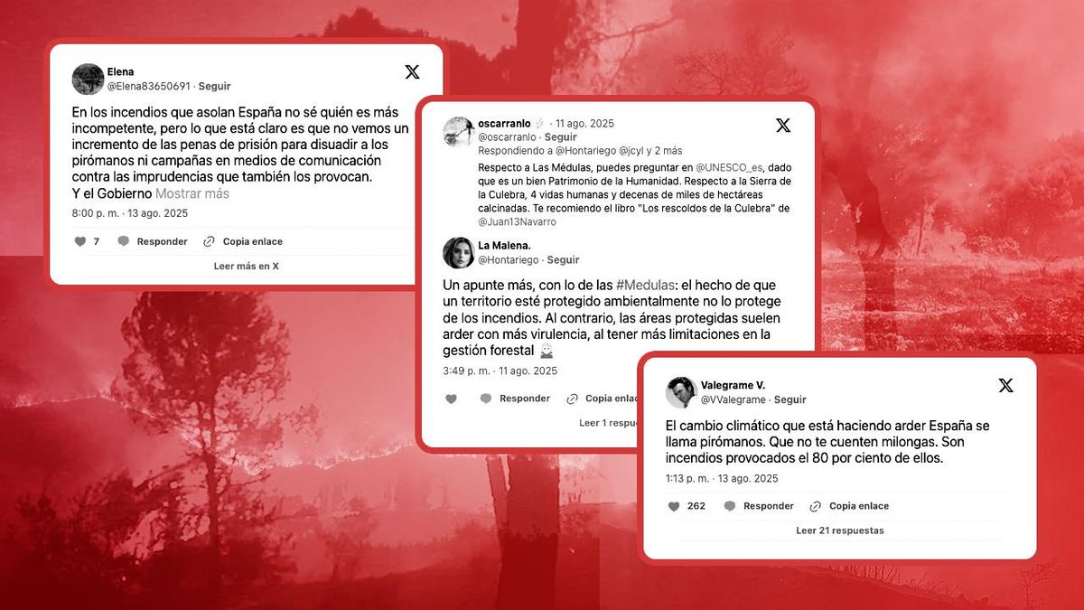 Del terrorismo pirómano a las «multas de la Agenda 2030» por limpiar, los bulos sobre incendios que arden en redes