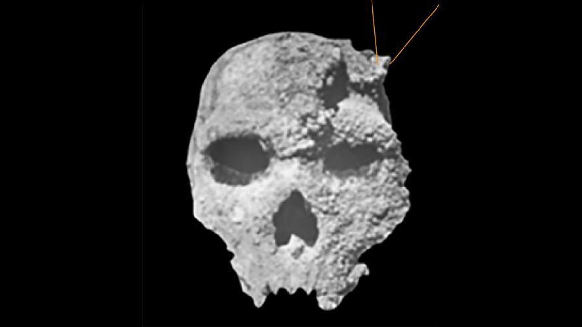 Un cráneo descubierto en Grecia cambia el mapa de la evolución en Europa